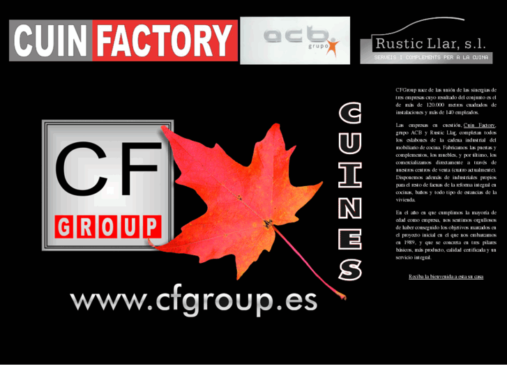 www.cfgroup.es