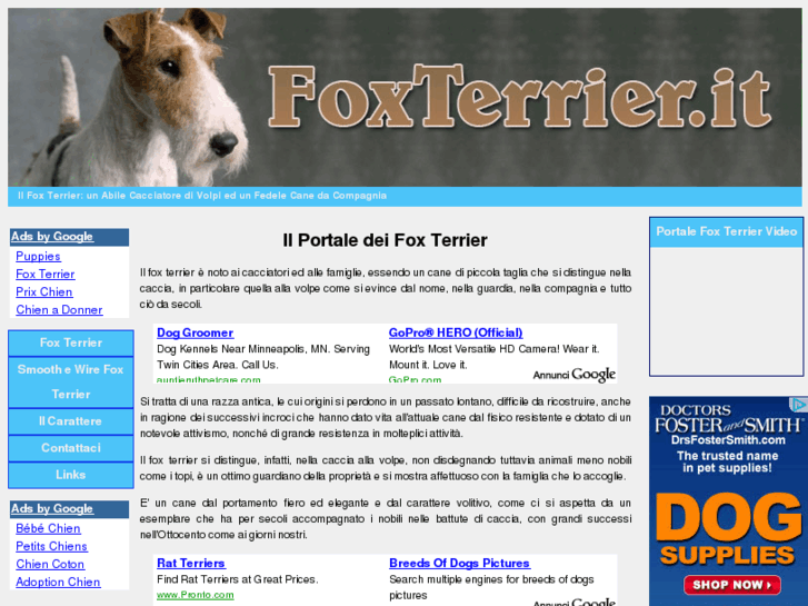 www.foxterrier.it