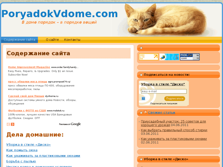 www.poryadokvdome.com