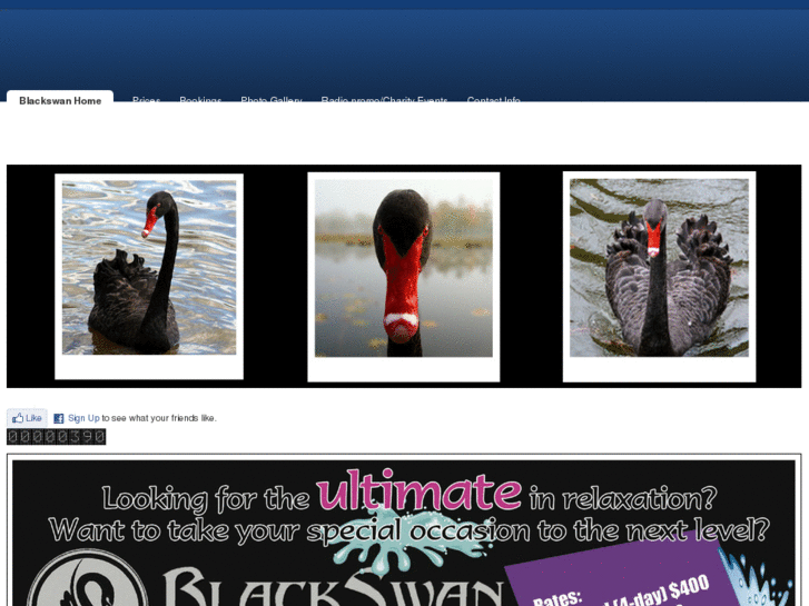 www.blackswanhottubrentals.com