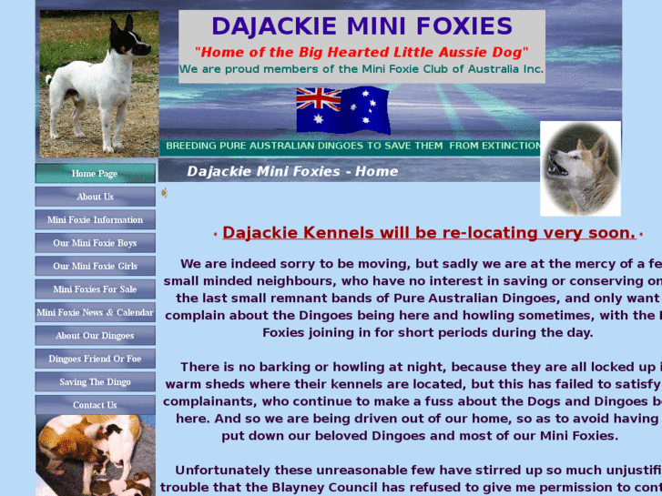 www.dajackieminifoxies.com