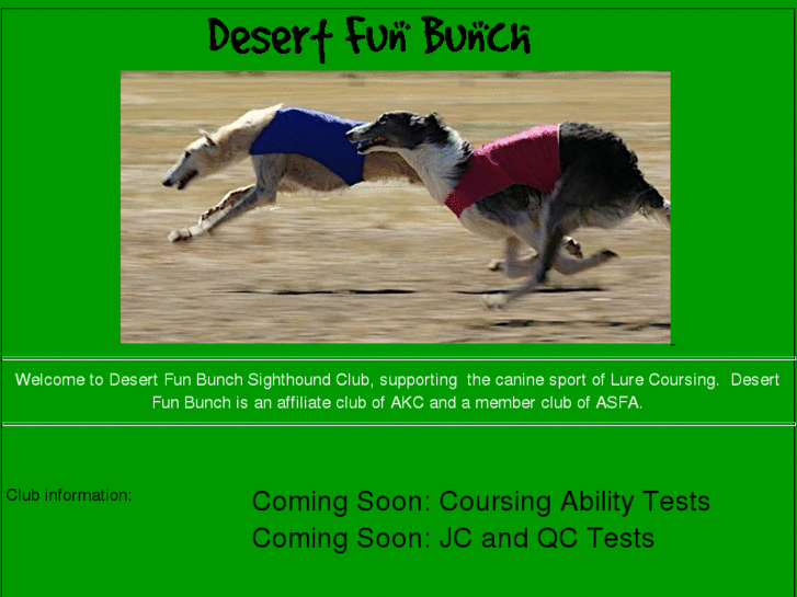 www.desertfunbunch.org