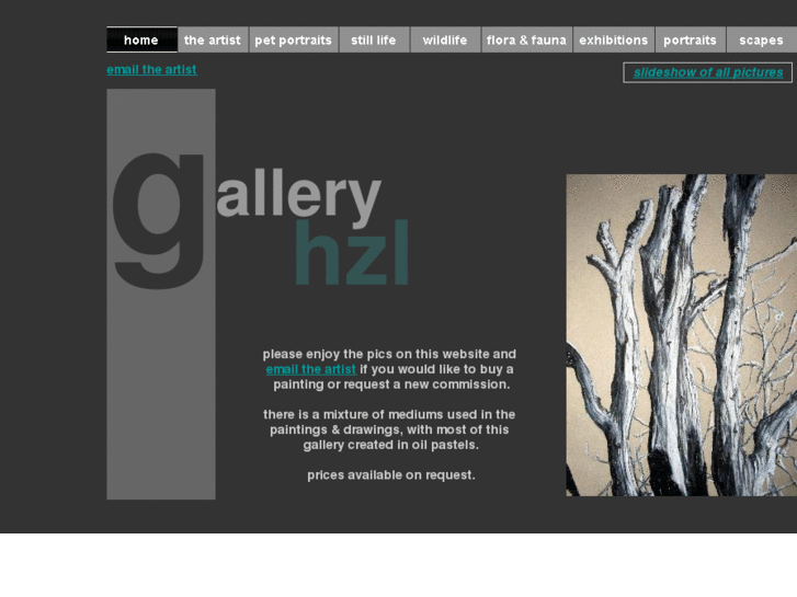 www.galleryhzl.com