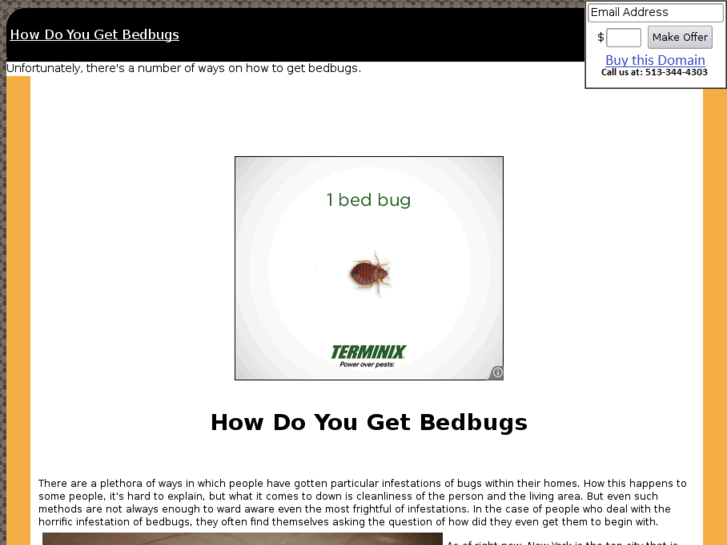 www.howdoyougetbedbugs.com