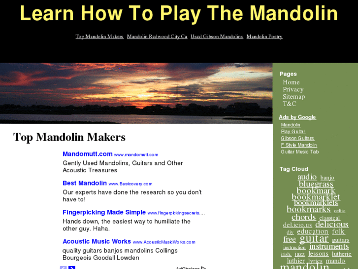 www.learnhowtoplaythemandolin.com