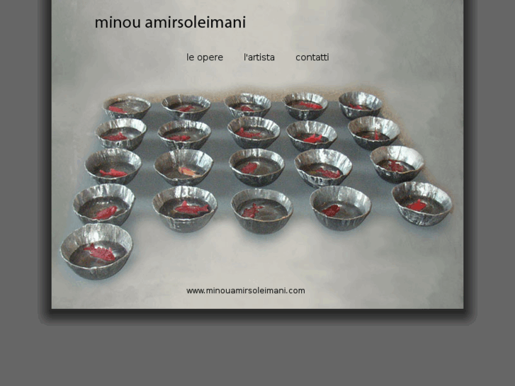 www.minouamirsoleimani.com