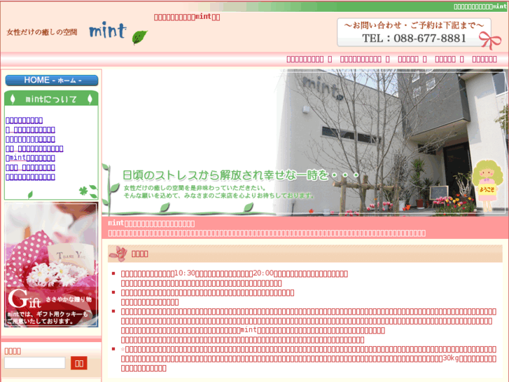 www.mint-a.com
