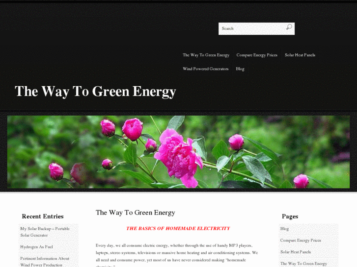 www.thewaytogreenenergy.com
