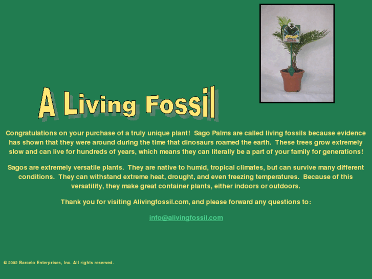 www.alivingfossil.com