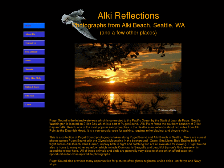 www.alkireflections.com