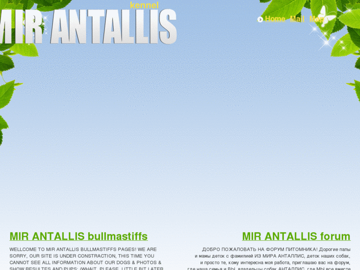 www.antallis.ru