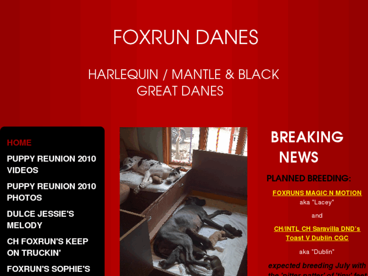 www.foxrundanes.com