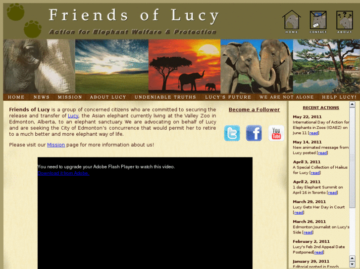 www.friendsoflucy.ca