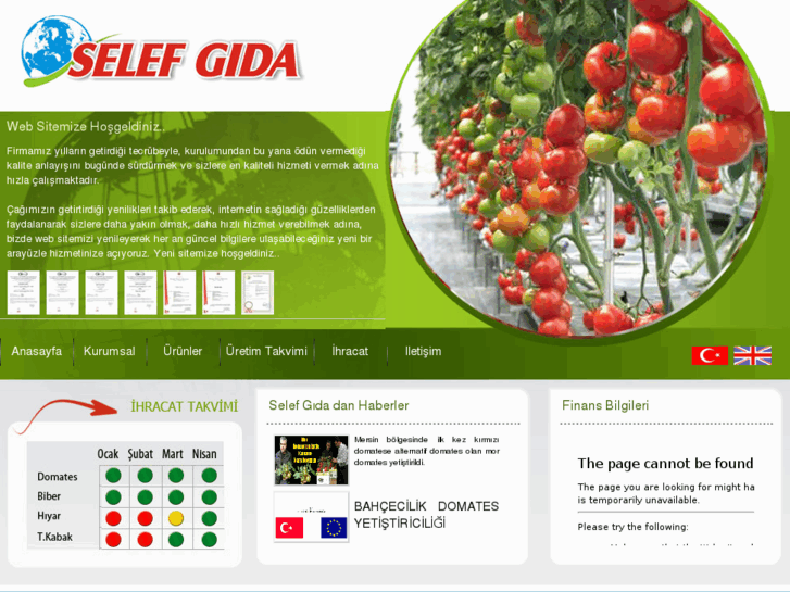 www.selefgida.com