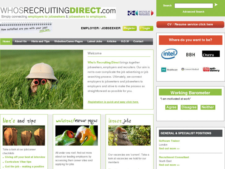 www.whoserecruitingdirect.com