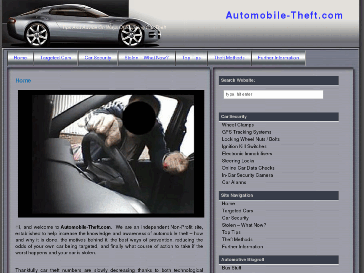 www.automobile-theft.com