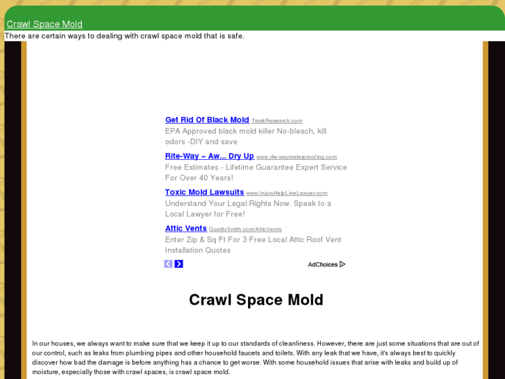 www.crawlspacemold.com