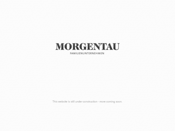 www.morgentau-bags.com