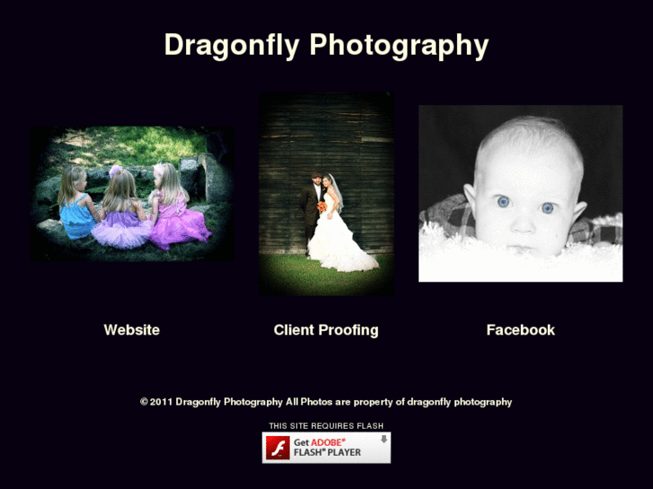 www.my-dragonflyphotography.com