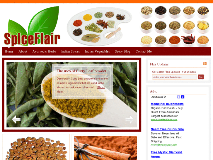 www.spiceflair.com