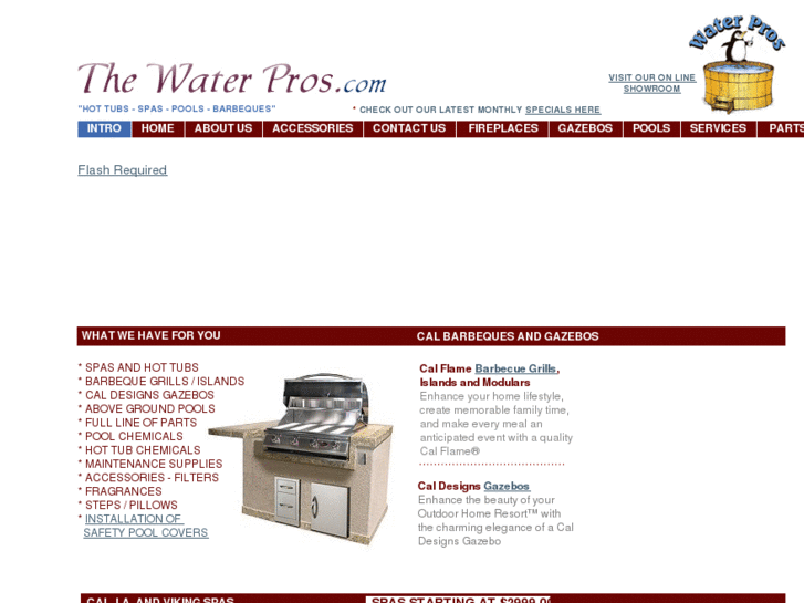 www.waterpros1.com