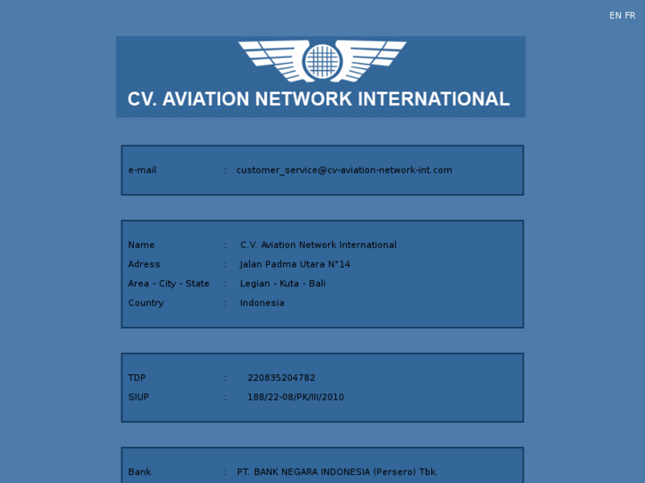 www.cv-aviation-network-int.com