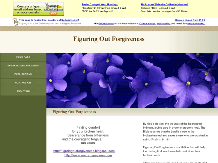 www.figuringoutforgiveness.com