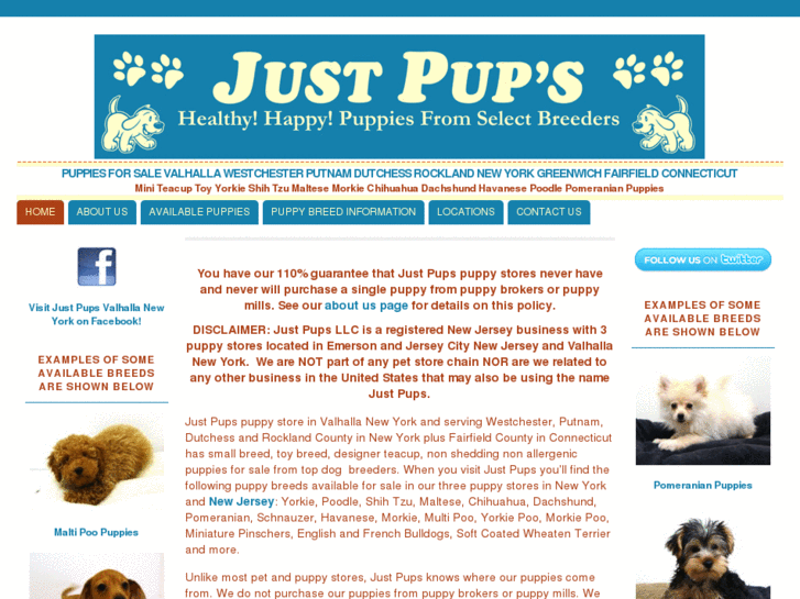 www.justpupsnewyork.com