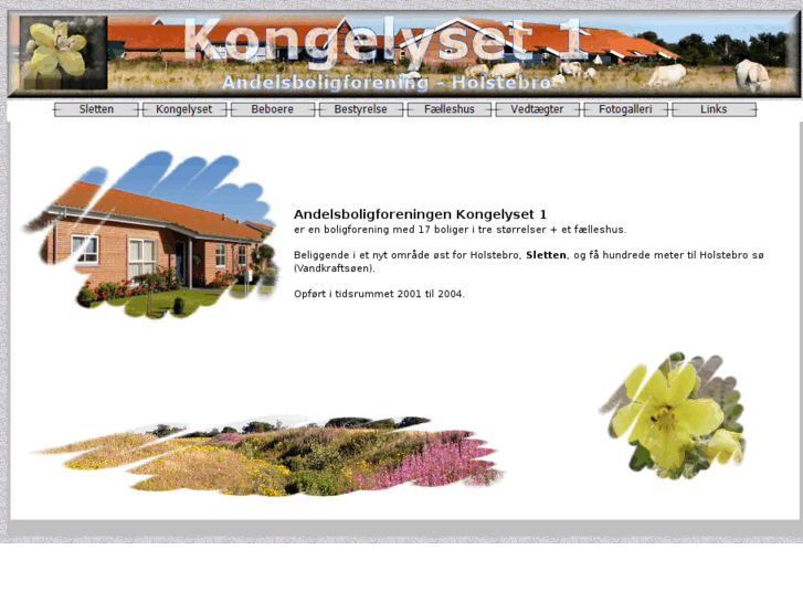 www.kongelyset.com