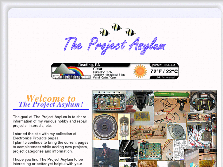 www.theprojectasylum.com