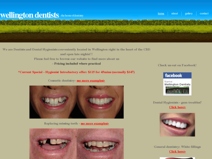 www.wellingtondentist.co.nz