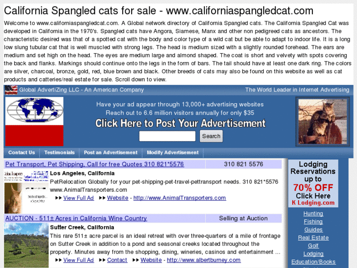 www.californiaspangledcat.com