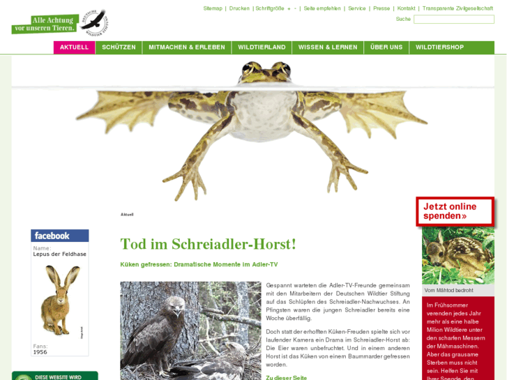 www.deutschewildtierstiftung.de