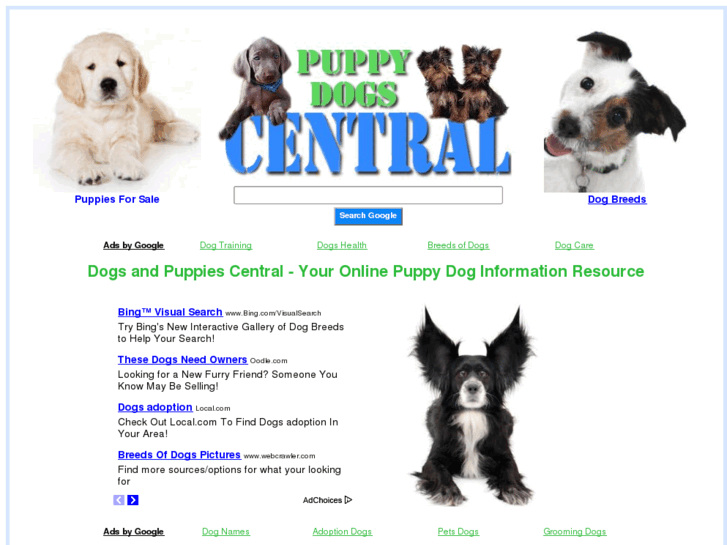 www.dogs-central.com
