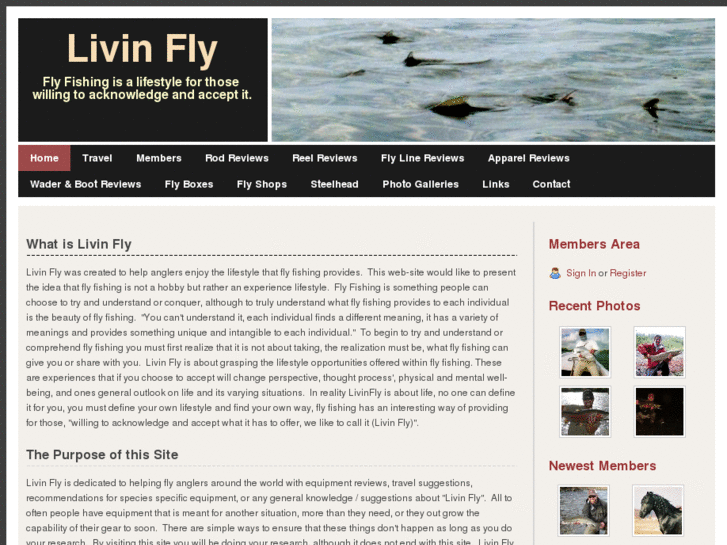 www.livinfly.com