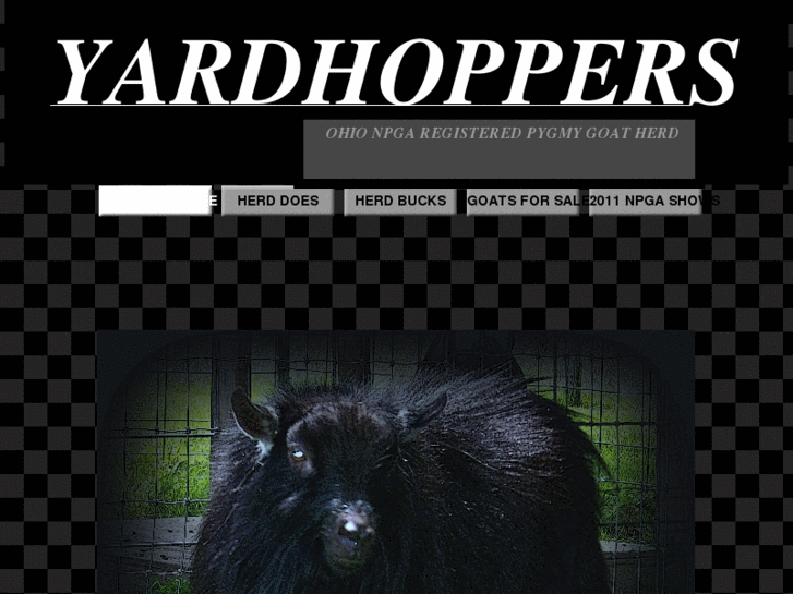 www.yardhoppergoats.com