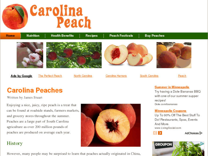 www.carolinapeach.com