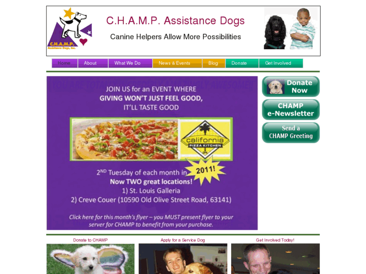 www.champdogs.org