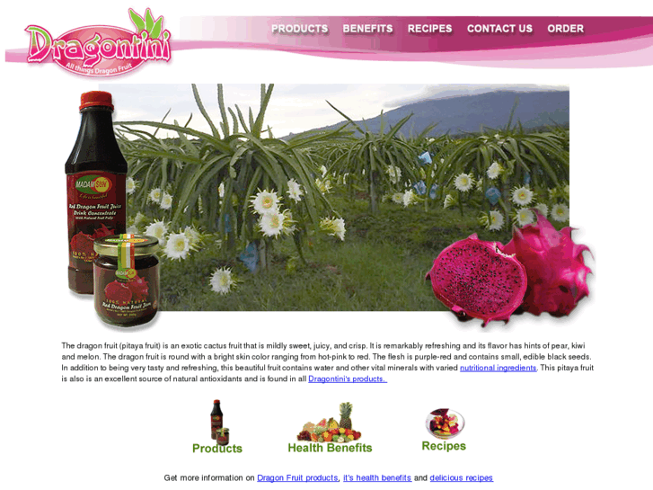 www.dragontini.net