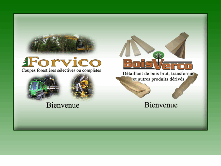 www.forvico.com