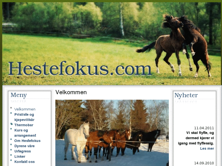 www.hestefokus.com