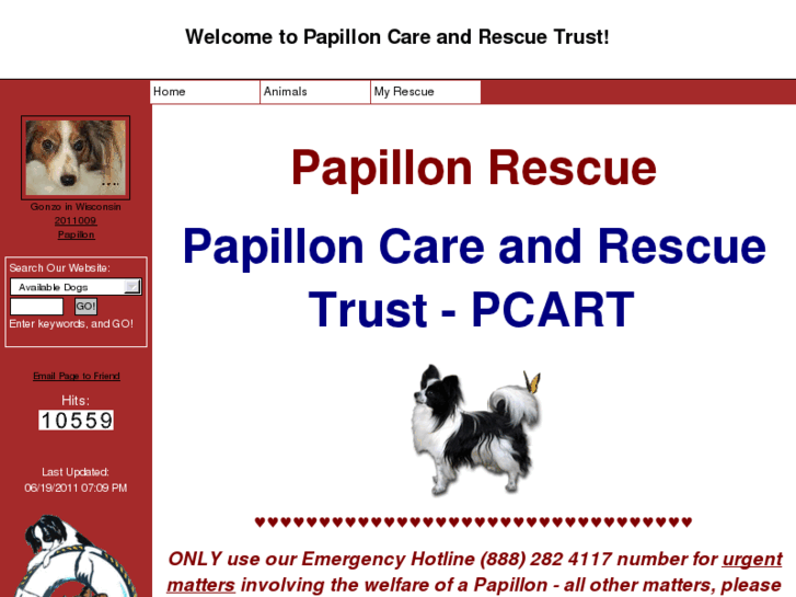 www.papillonrescueusa.org