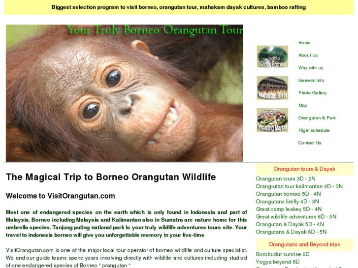 www.visitorangutan.com