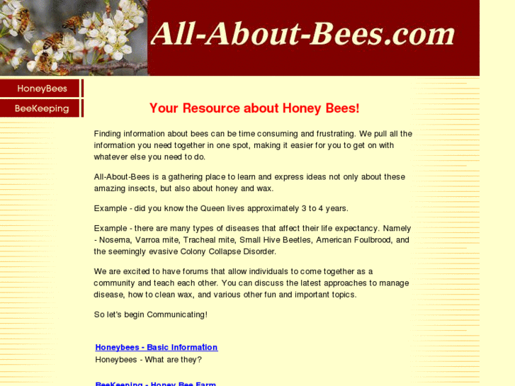 www.all-about-bees.com