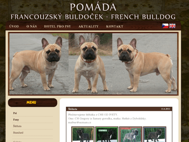 www.buldocci-pomada.cz