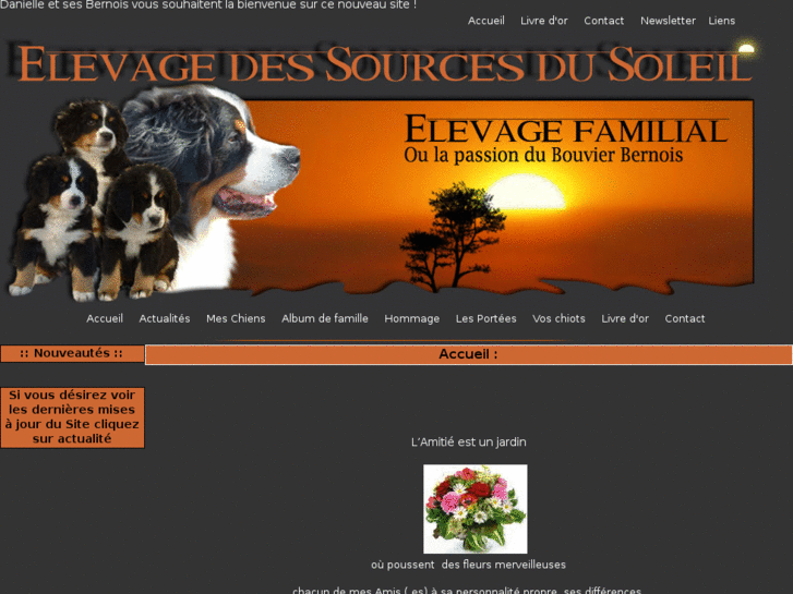 www.dessourcesdusoleil.com