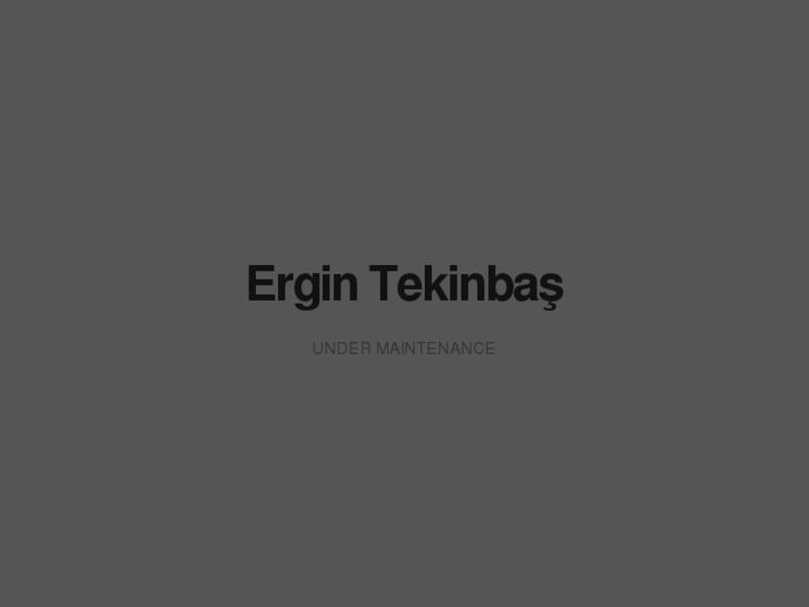 www.ergintekinbas.com