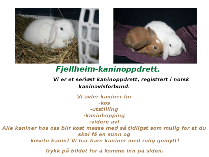 www.fjellheim-kaninoppdrett.com