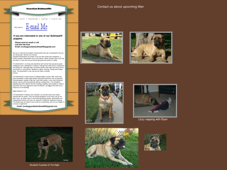 www.guardianbullmastiffs.com