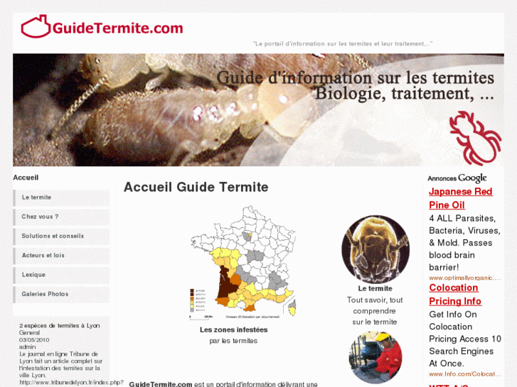 www.guidetermite.com